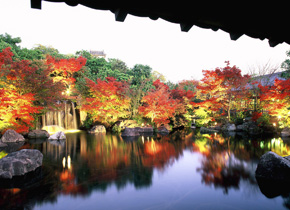 姫路城西御屋敷跡庭園 好古園