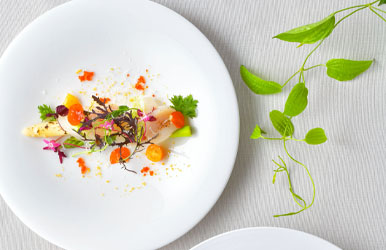 サマーパーティプラン